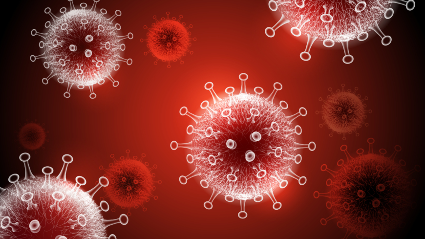 Fyra av fem behåller antikroppar efter en coronavirusinfektion. Nu vill man jämföra med en grupp som varit högexponerad för viruset, utan att utveckla antikroppar. Foto: Shutterstock